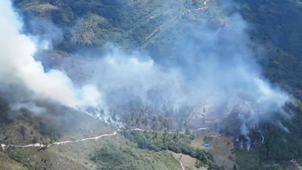 Incendio forestal en Charalá consume más de 40 hectáreas de bosque nativo Incendio forestal en Charalá consume más de 40 hectáreas de bosque nativo