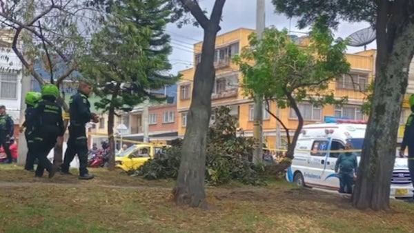 Hallan restos humanos en el sur de Bogotá: autoridades investigan identidad y las causas Hallan restos humanos en el sur de Bogotá: autoridades investigan identidad y las causas