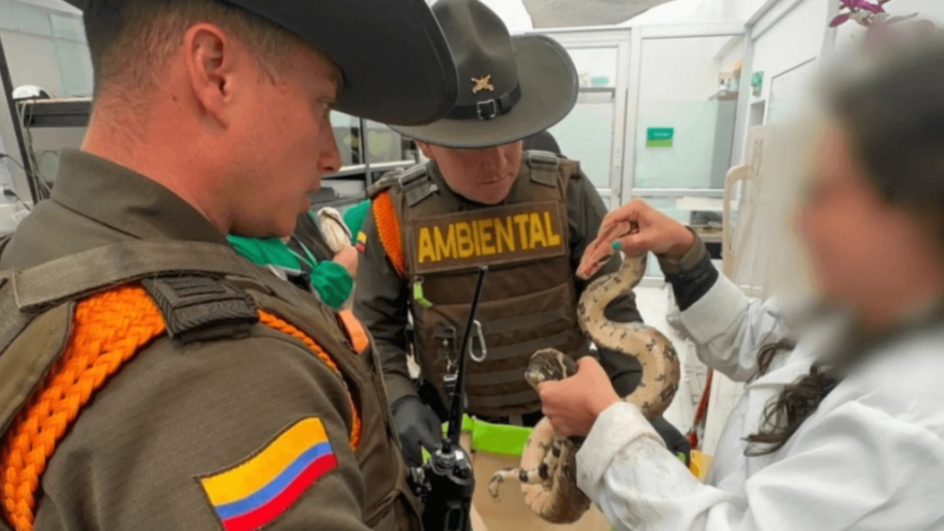 Foto: Secretaría de Ambiente.