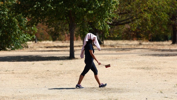 Europa enfrenta nueva ola de calor en medio de sequía histórica Europa enfrenta nueva ola de calor en medio de sequía histórica
