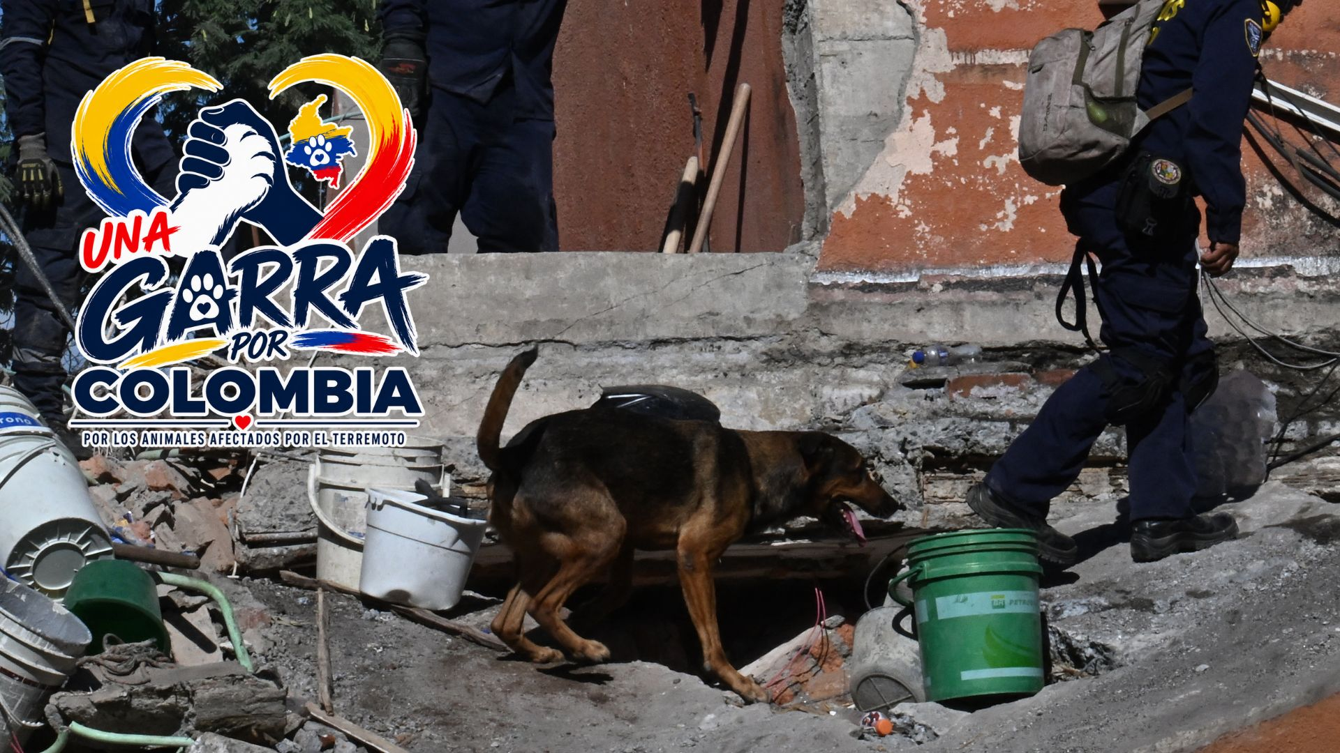 Foto: AFP y IG @andreanimalidad