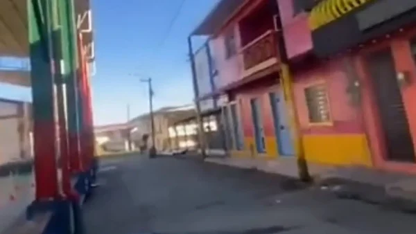 Revelan video de cómo se vivió el terremoto en San José del Palmar, el epicentro Revelan video de cómo se vivió el terremoto en San José del Palmar, el epicentro
