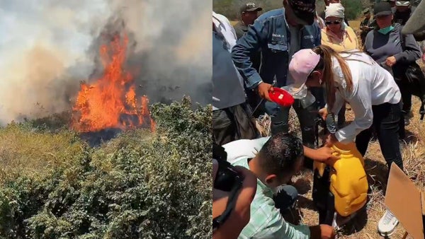Tolima en alerta máxima: 39 incendios forestales activos en 18 municipios Tolima en alerta máxima: 39 incendios forestales activos en 18 municipios