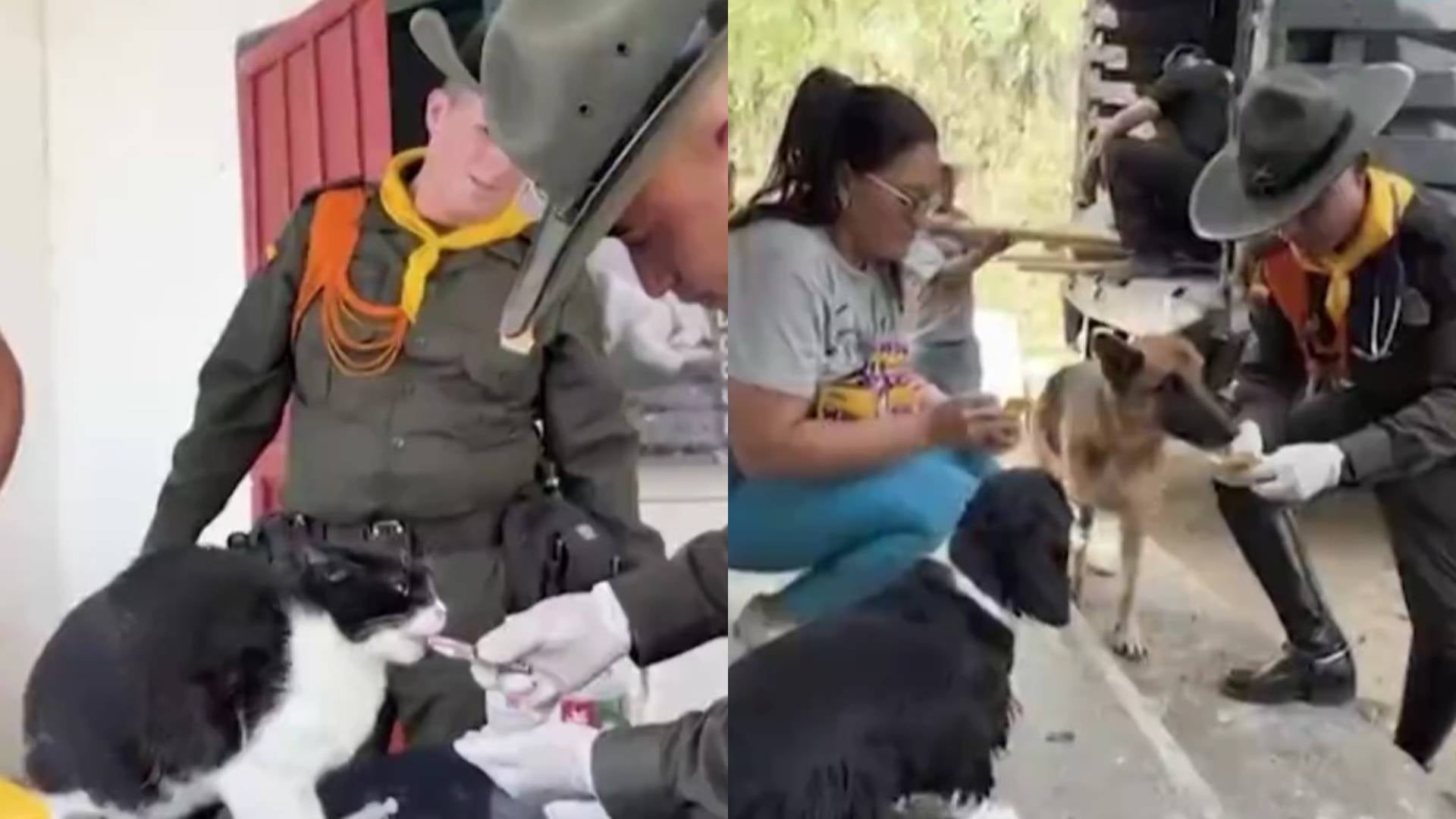 Carabineros ayudaron animales