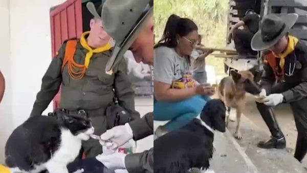 Carabineros llegaron con ayuda para animales afectados por el terremoto en Manizales Carabineros llegaron con ayuda para animales afectados por el terremoto en Manizales