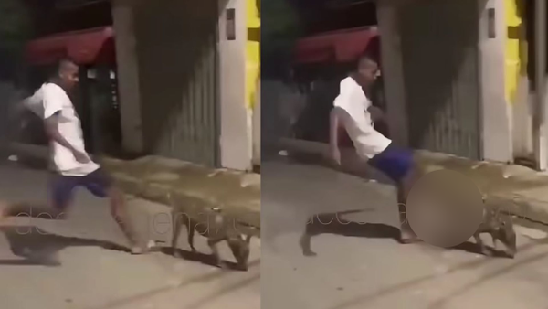 Indignante: sujetos se grabaron pateando a un perro en condición de calle en Cartagena