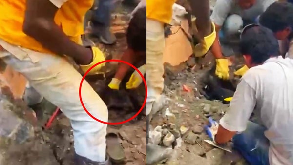 VIDEO | Perrita fue rescatada en Chocó tras permanecer 7 días atrapada bajo los escombros del terremoto VIDEO | Perrita fue rescatada en Chocó tras permanecer 7 días atrapada bajo los escombros del terremoto