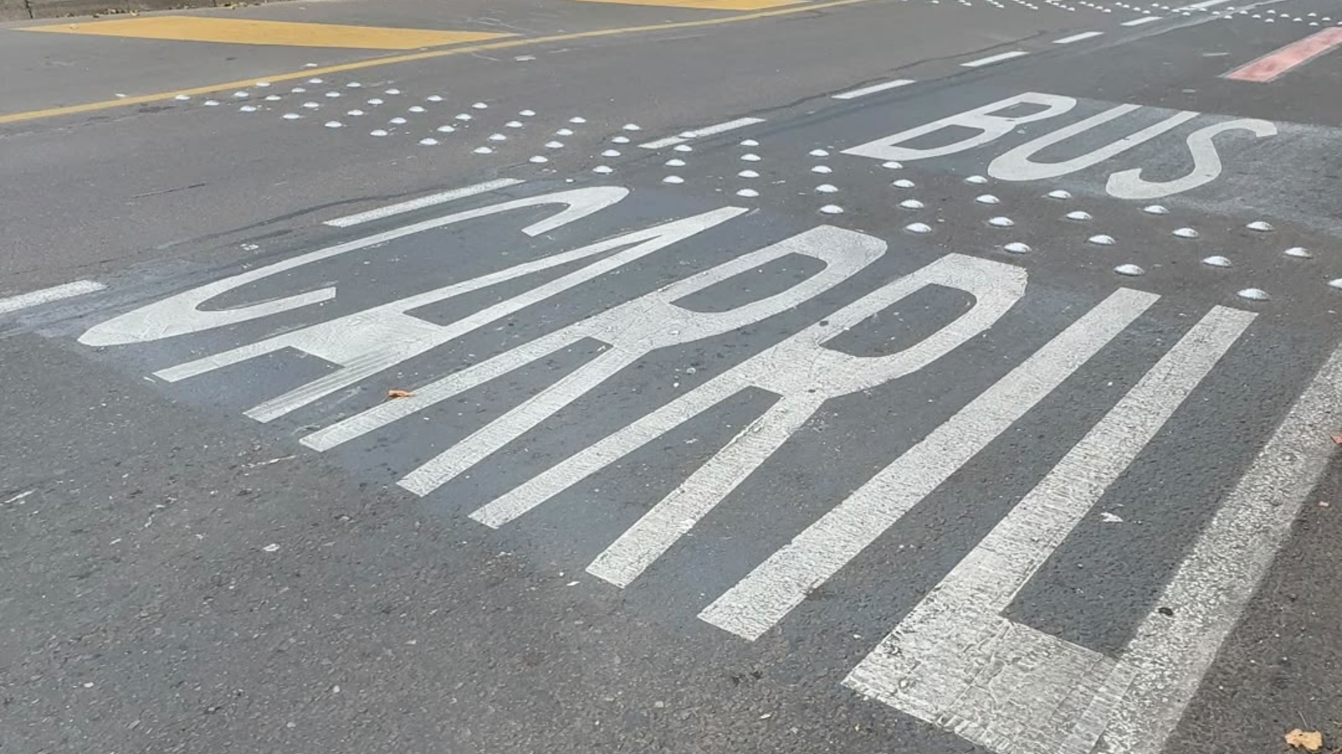 Foto: Secretaría de Movilidad