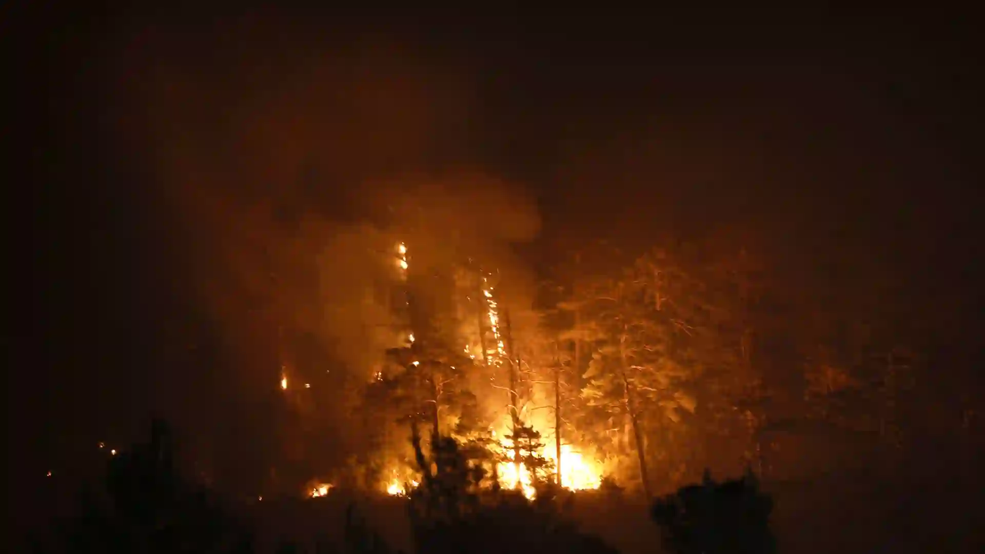 Tolima consumida por el fuego: 24 incendios activos, todo apunta a que serían provocados