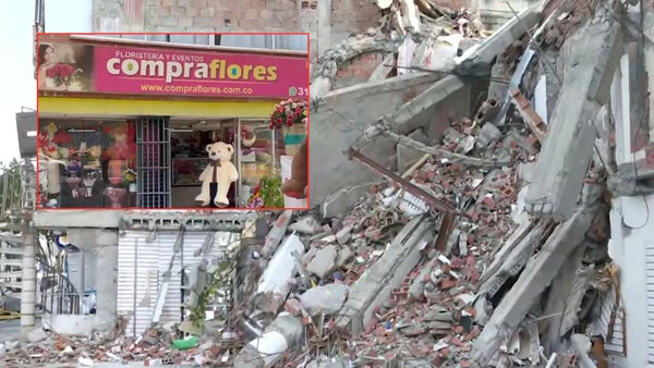 Floristería que colapsó en el terremoto regala peluches salvados de los escombros en Cali Floristería que colapsó en el terremoto regala peluches salvados de los escombros en Cali
