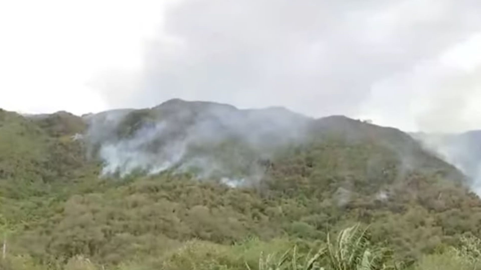 Foto: Captura pantalla Noticias RCN.
