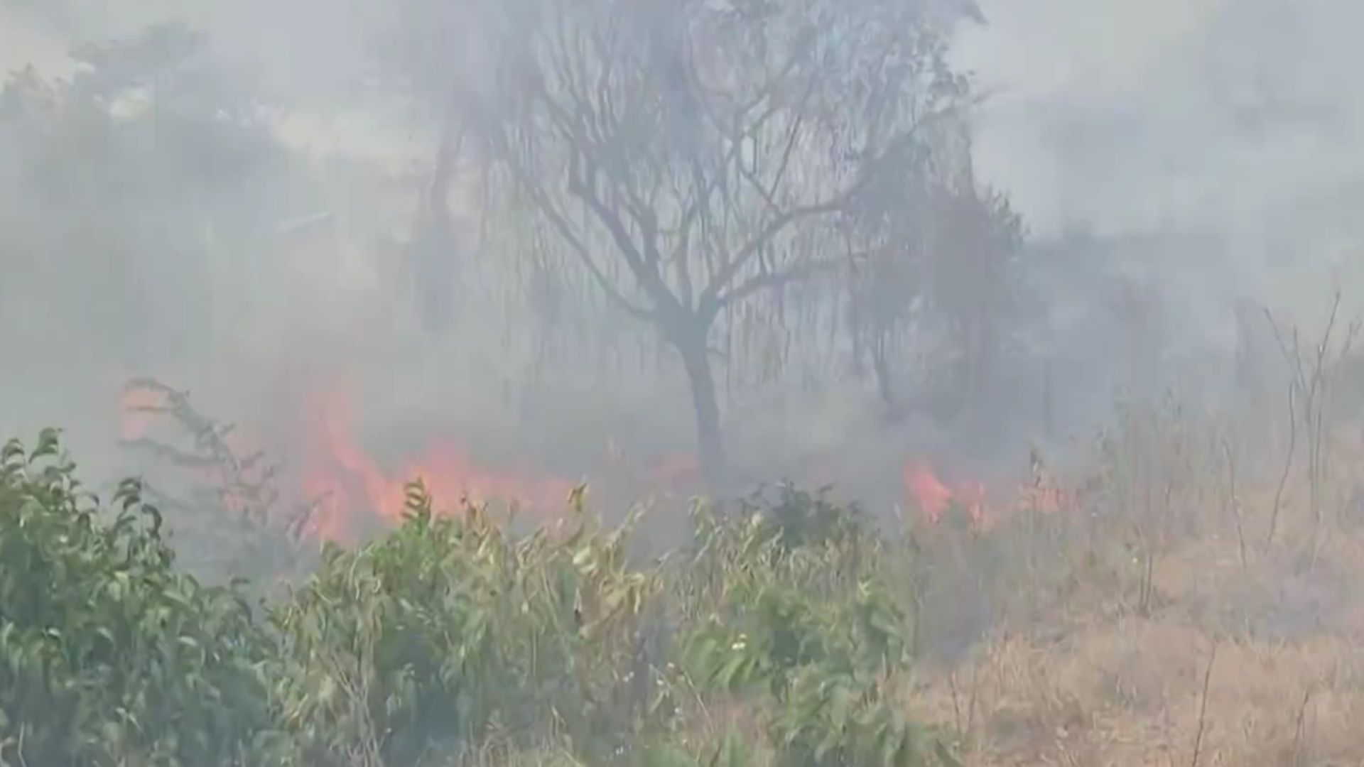Foto: Captura pantalla Noticias RCN.