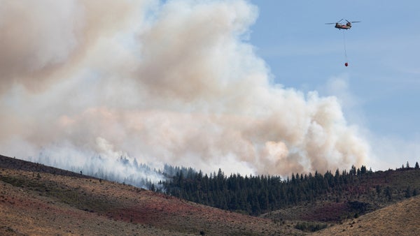 Más de 42.000 personas fueron evacuadas en Nevada por grave incendio forestal Más de 42.000 personas fueron evacuadas en Nevada por grave incendio forestal
