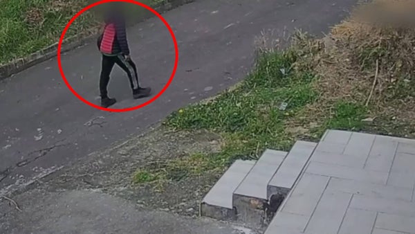 Recién salido de prisión por abuso sexual habría abordado, arrastrado y agredido a otra mujer en zona boscosa de Bogotá