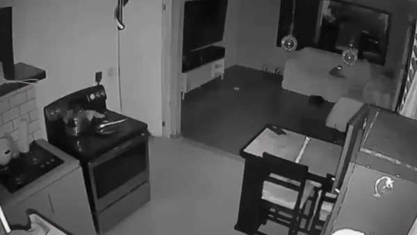 VIDEOS| Primeras imágenes del fuerte sismo de 5.3 en Costa Rica hoy 24 de agosto de 2026