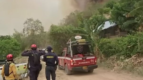 Minagricultura lanza plan Compromiso Tolima para mitigar pérdidas millonarias por incendios forestales