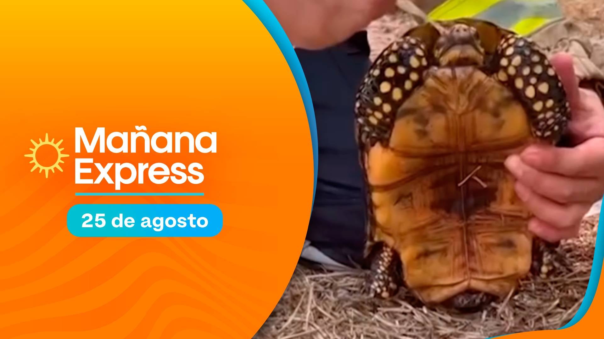 Foto: Noticias RCN