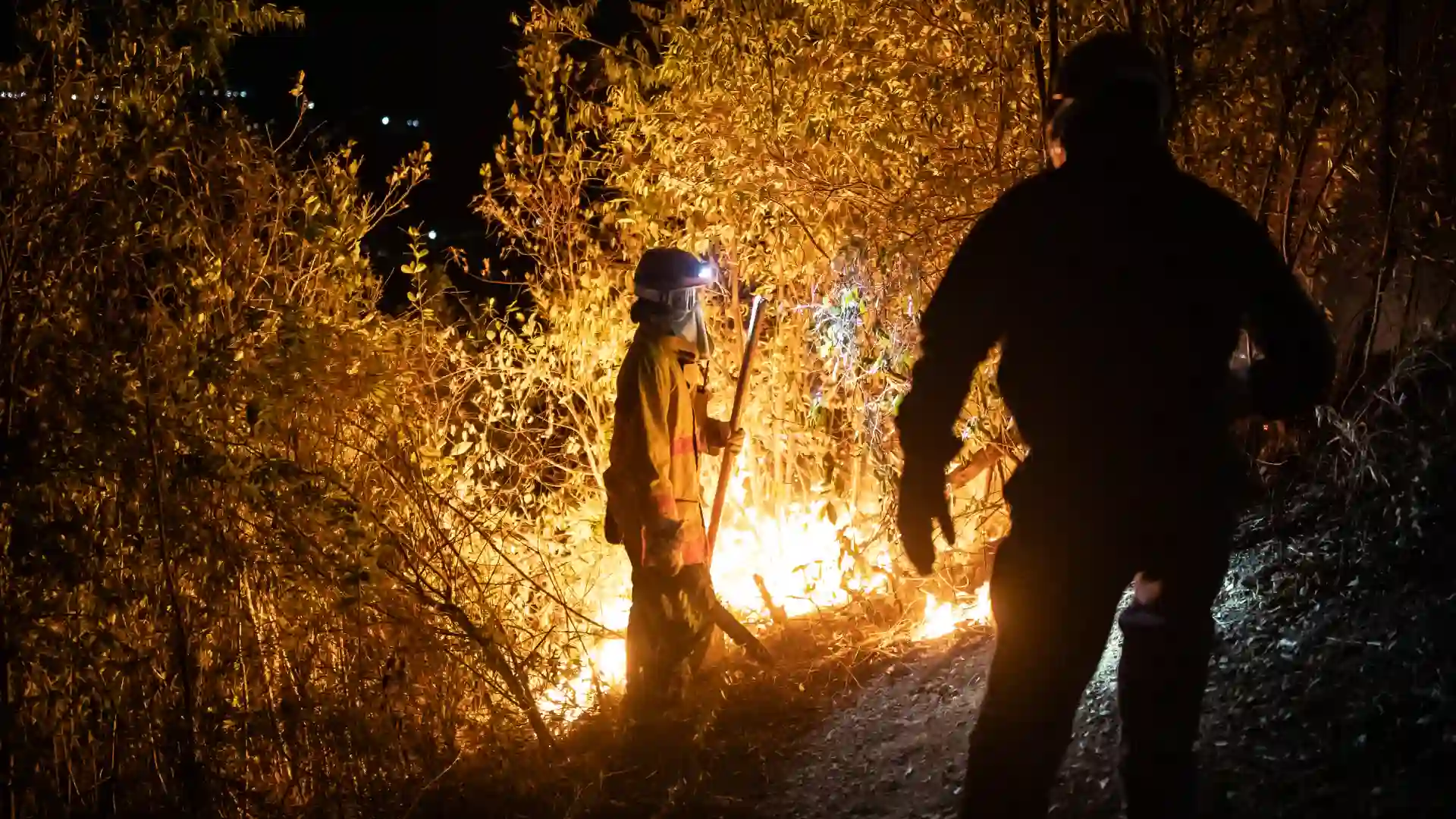 Gobierno creará un fondo mixto para reconstruir Tolima tras incendios provocados por manos criminales