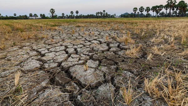 ¿Cuándo se acaba El Niño en Colombia? El pronóstico oficial de la OMM ¿Cuándo se acaba El Niño en Colombia? El pronóstico oficial de la OMM