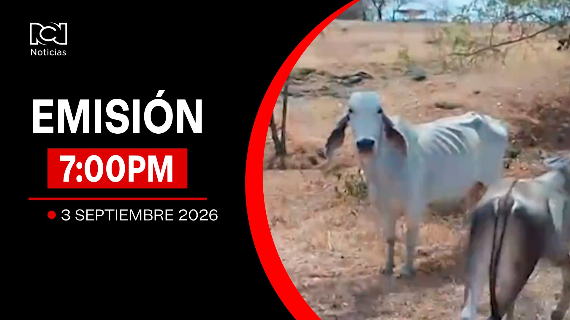 Emisión Noticias RCN 7:00 p. m. / jueves 3 de septiembre de 2026