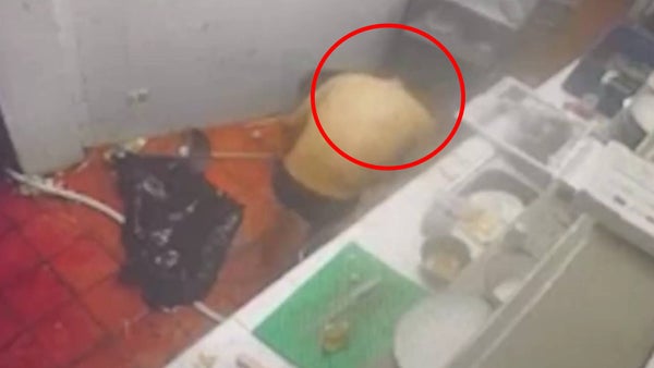 VIDEO | Chef asesinó con cuchillo "mataganado" a un hombre que lo contrató para una cena de cumpleaños en Ubaté VIDEO | Chef asesinó con cuchillo "mataganado" a un hombre que lo contrató para una cena de cumpleaños en Ubaté