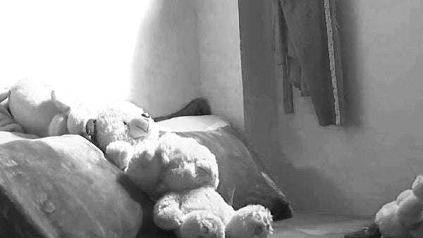 Menor estuvo 20 días desparecida tras ser raptada en el sur de Bogotá: logró escapar y su madre reveló detalles Menor estuvo 20 días desparecida tras ser raptada en el sur de Bogotá: logró escapar y su madre reveló detalles