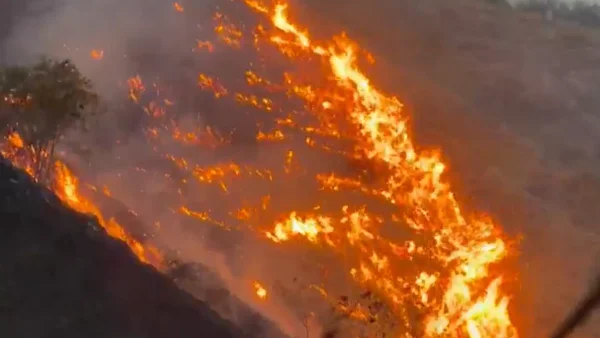 Anuncian millonaria recompensa por información sobre responsables de incendios en Valle del Cauca Anuncian millonaria recompensa por información sobre responsables de incendios en Valle del Cauca