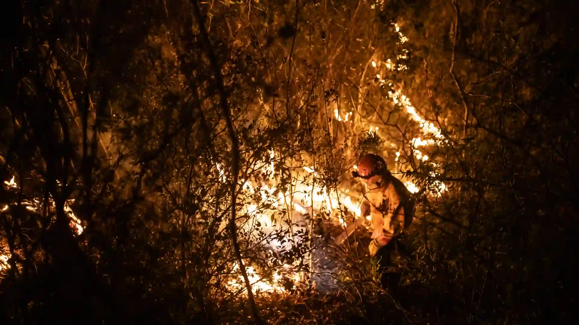 Incendio forestal en Payandé, Tolima, es una amenaza inminente para varias viviendas
