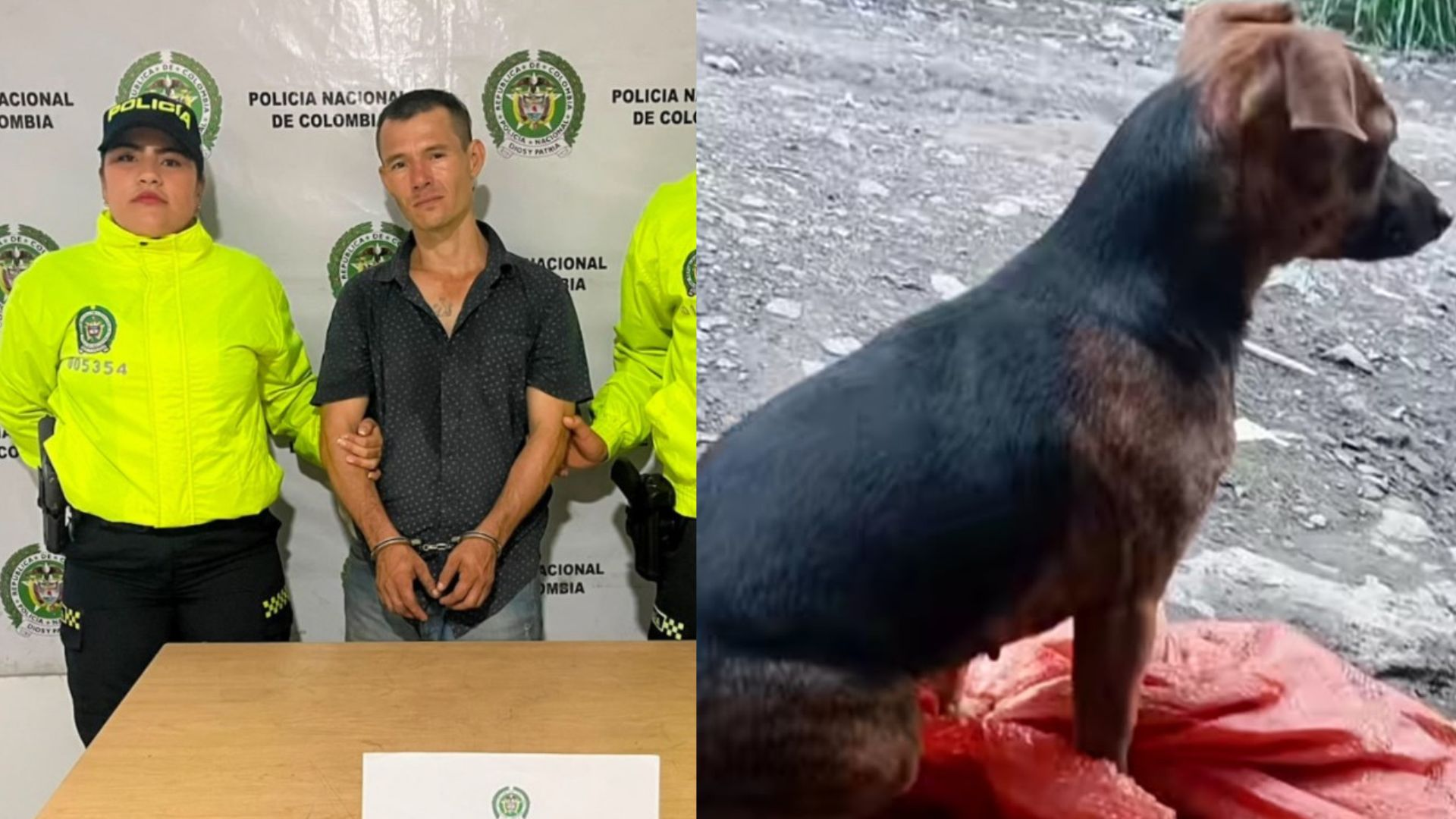 Foto: Fiscalía y captura IG @andreanimalidad