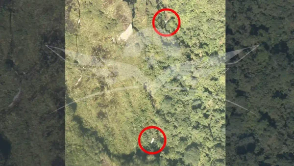Hallan la avioneta desaparecida en la que viajaba una misión médica: buscan sobrevivientes Hallan la avioneta desaparecida en la que viajaba una misión médica: buscan sobrevivientes