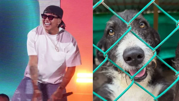 El gesto de Beéle con fundación de animales en San Andrés que ha conmovido en redes El gesto de Beéle con fundación de animales en San Andrés que ha conmovido en redes