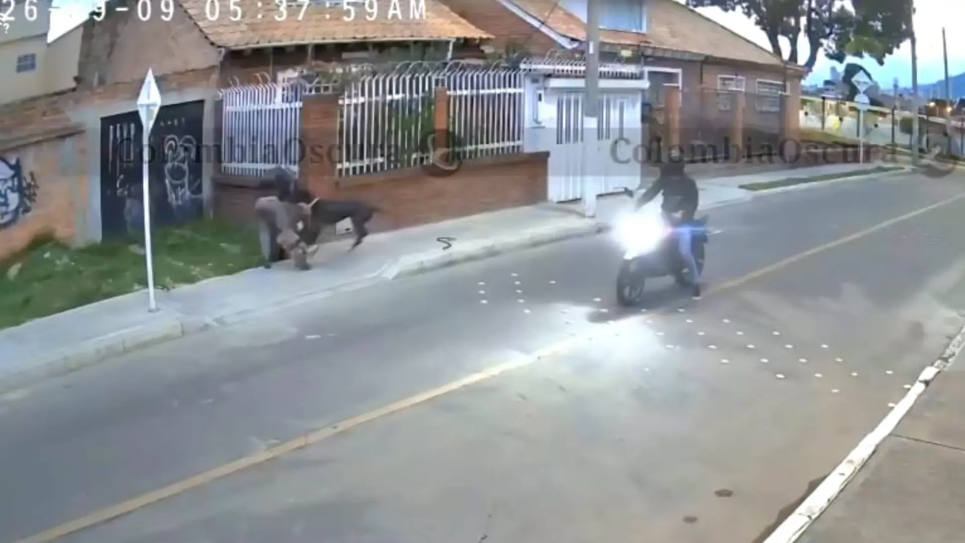 Perro defiende a su dueño de robo.