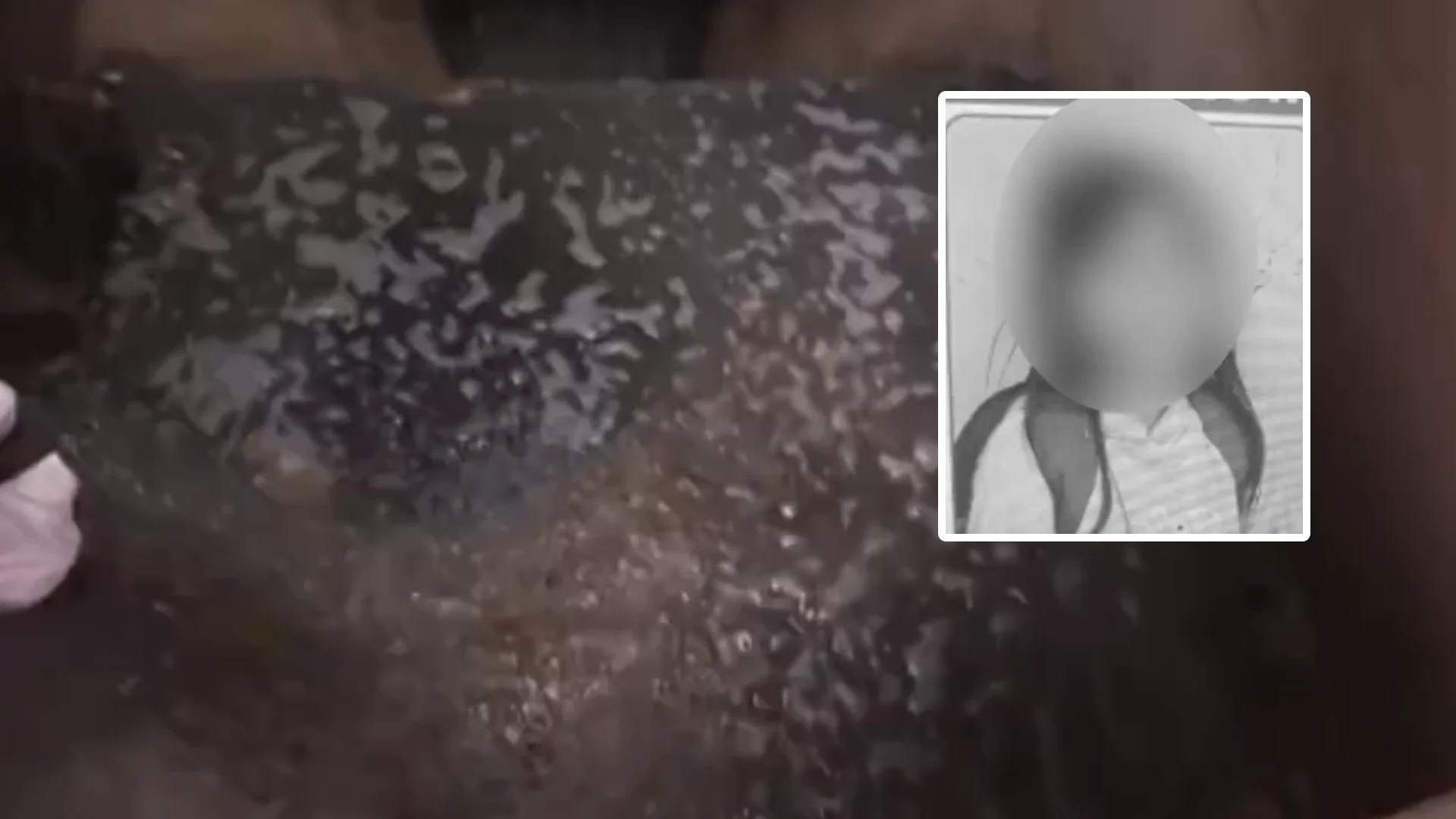 Hallan cuerpo sin vida de una niña de nueve años.