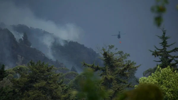 Recuperar la vegetación tras el incendio en Villa de Leyva demoraría 30 años Recuperar la vegetación tras el incendio en Villa de Leyva demoraría 30 años