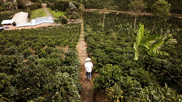 Pymes sostenibles: así pueden lograr inversión de USD 250.000 Pymes sostenibles: así pueden lograr inversión de USD 250.000