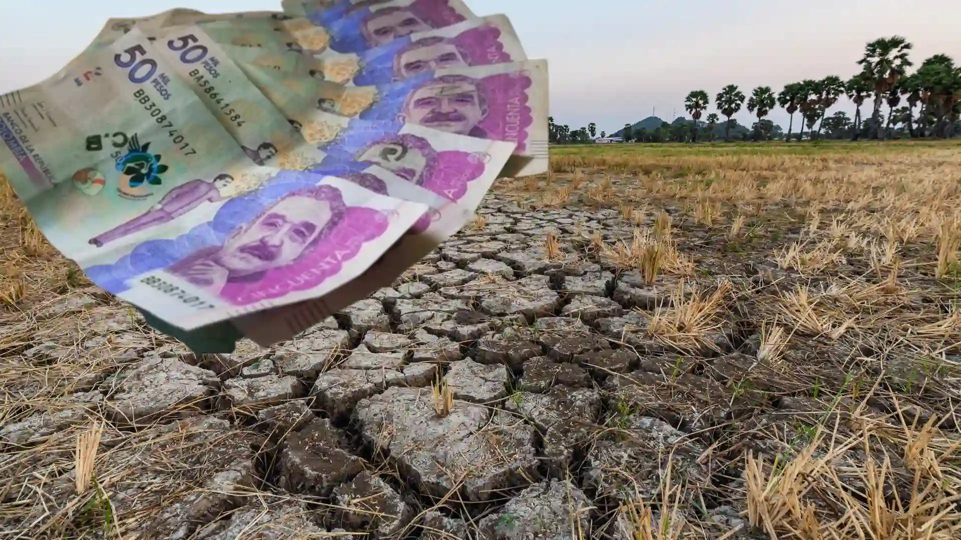 Gobierno declarará emergencia nacional para enfrentar el fenómeno de El Niño