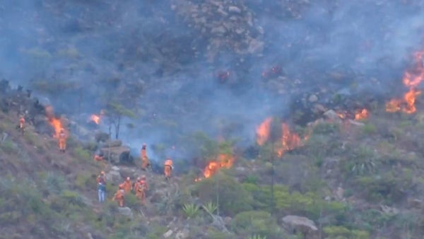 Incendio en el Santuario de Iguaque ya ha consumido cerca de 800 hectáreas del área protegida Incendio en el Santuario de Iguaque ya ha consumido cerca de 800 hectáreas del área protegida