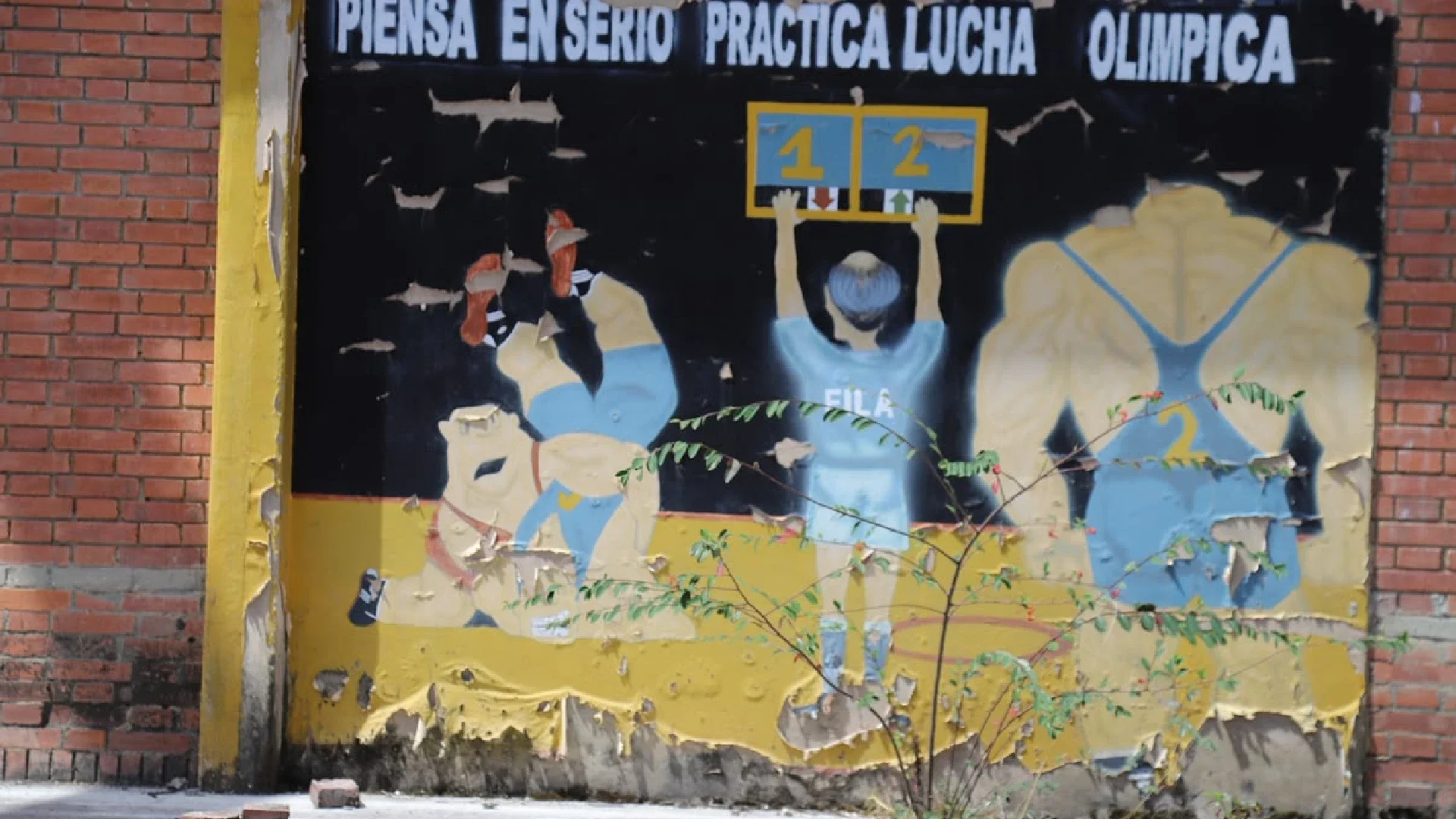 Unidad Deportiva El Salitre: ¿Próximo 'elefante blanco'?