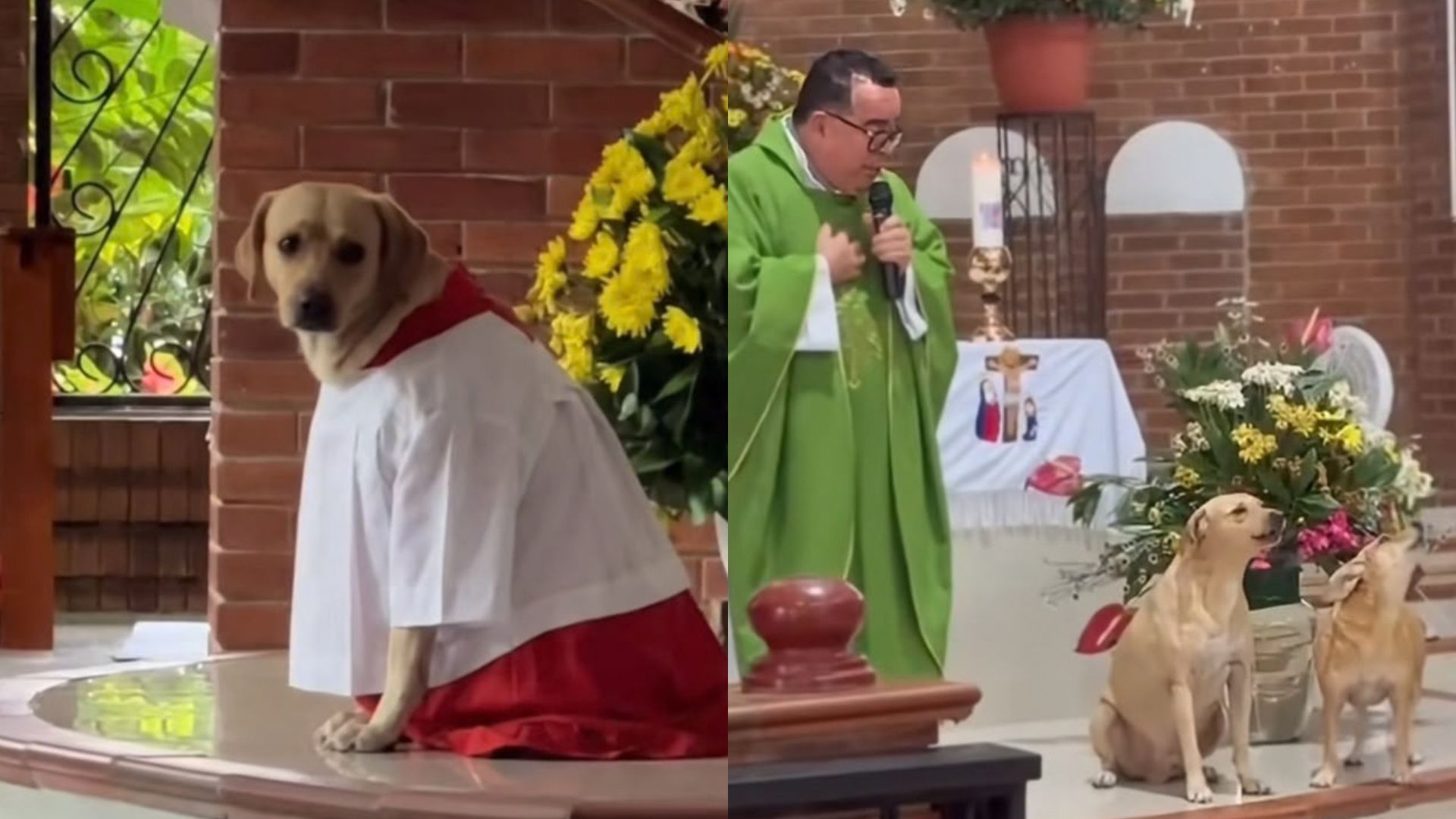 Foto: Captura pantalla TikTok @padrecarlosmariobendito