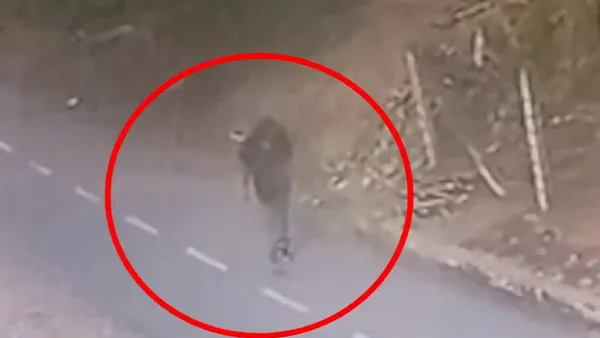 Pirómanos quedaron grabados en video: los capturaron y ya están libres Pirómanos quedaron grabados en video: los capturaron y ya están libres