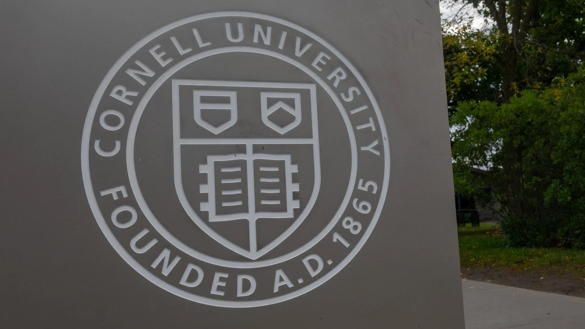 Universidad de Cornell.