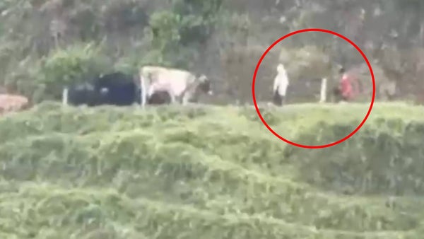 Descubrieron en una finca en Caldas a dos eslabones de las disidencias: se hacían pasar como trabajadores Descubrieron en una finca en Caldas a dos eslabones de las disidencias: se hacían pasar como trabajadores