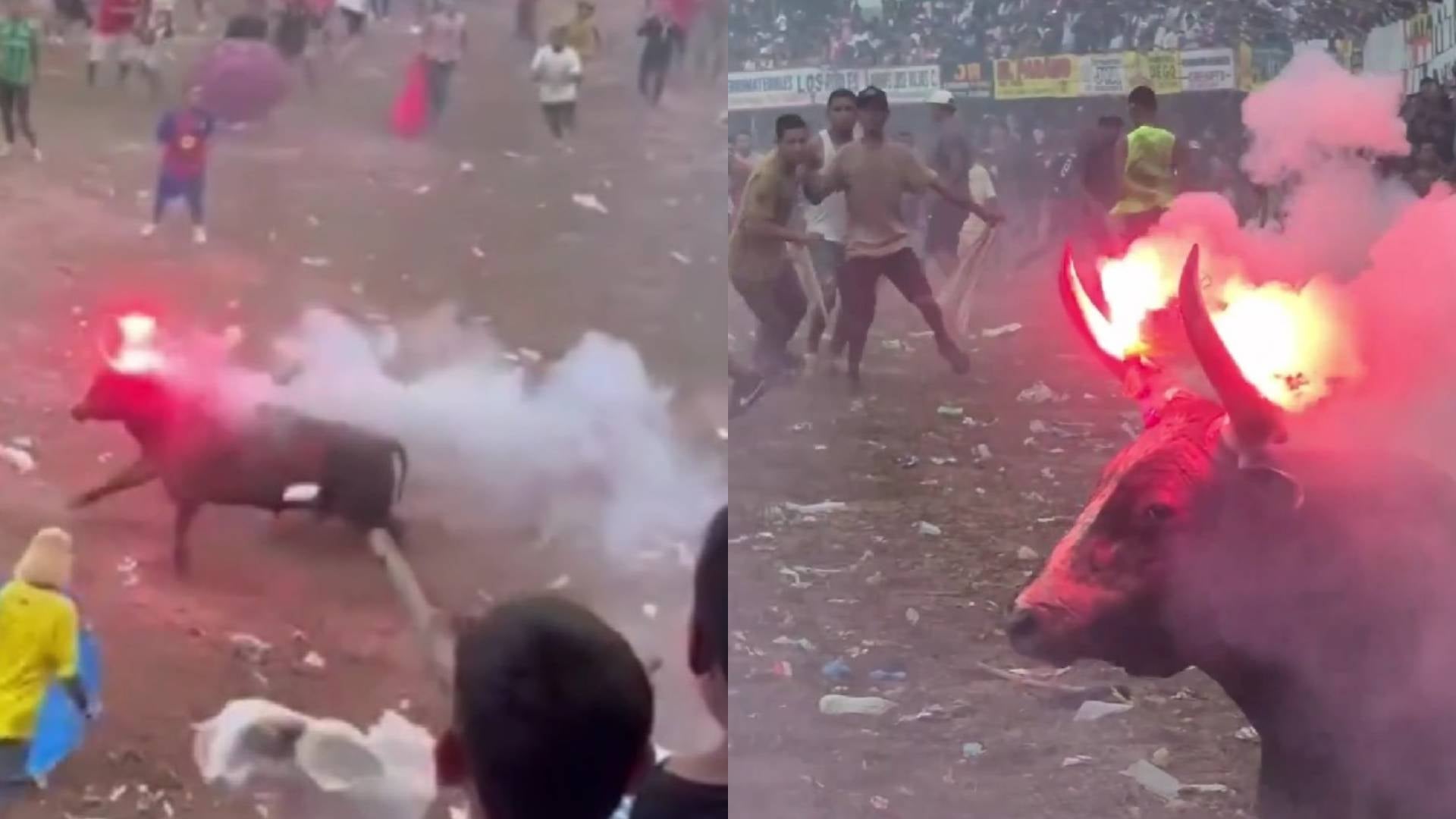 Toro con los cuernos encendidos en Sabanalarga