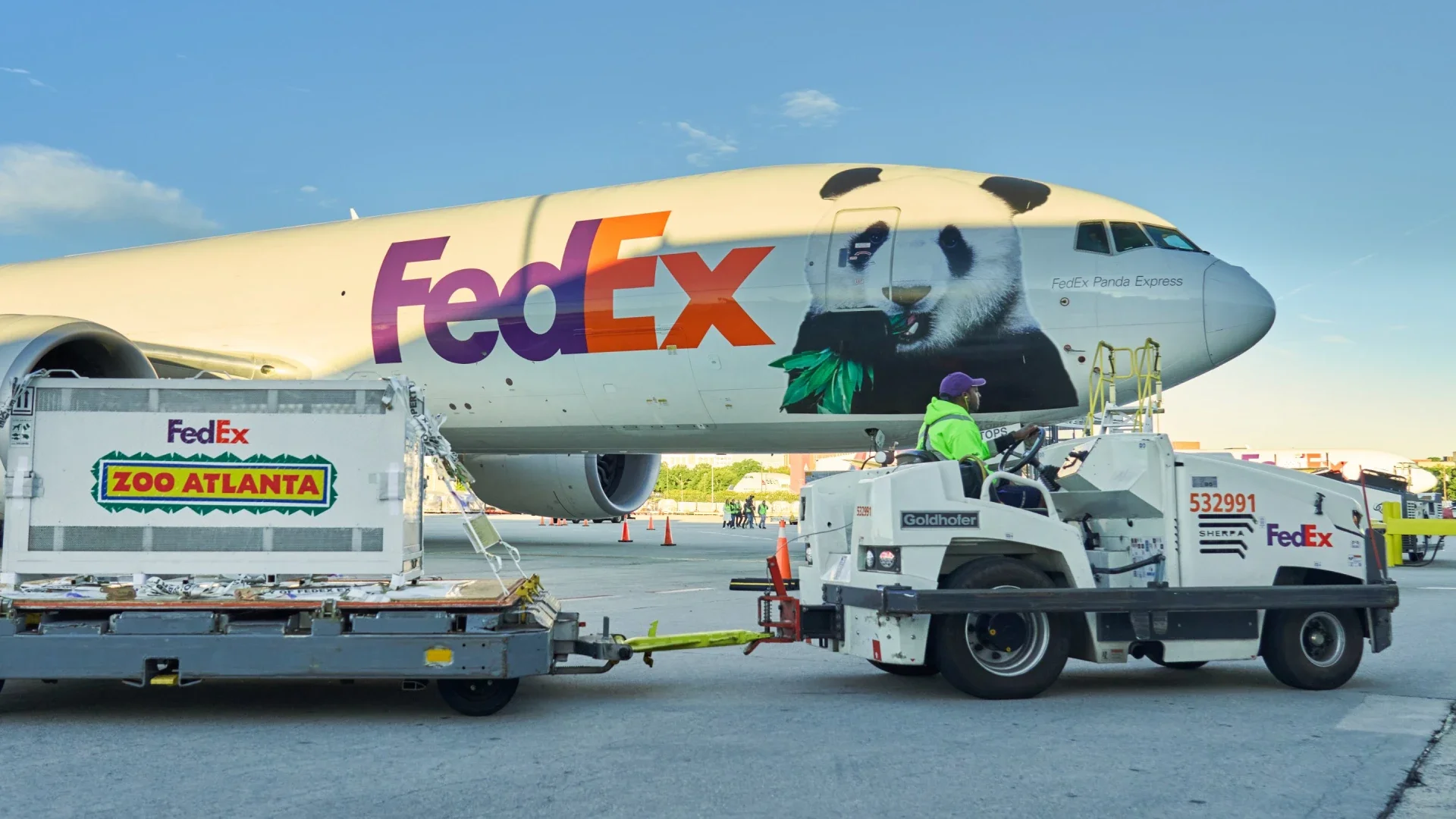 Pandas llegaron al zoológico de Atlanta.