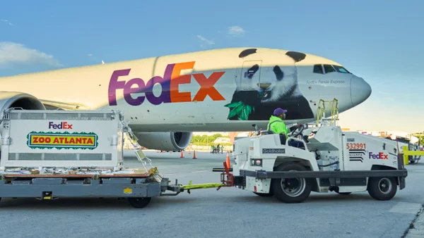 La historia de los dos pandas provenientes de China que llegaron a un zoológico en EE. UU. La historia de los dos pandas provenientes de China que llegaron a un zoológico en EE. UU.