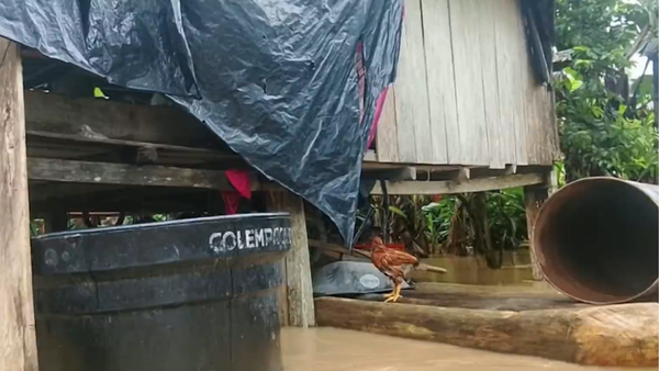 Estuvo lloviendo durante 14 horas seguidas en el mismo punto: nueva alerta en el Urabá antioqueño Estuvo lloviendo durante 14 horas seguidas en el mismo punto: nueva alerta en el Urabá antioqueño