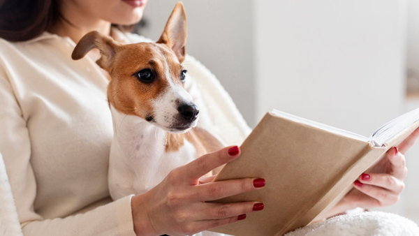 Bogotá ya cuenta con su propia biblioteca jurídica enfocada en temas animalistas Bogotá ya cuenta con su propia biblioteca jurídica enfocada en temas animalistas