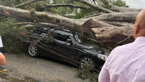 Figura de América de Cali sufrió aparatoso accidente: este es su estado de salud Figura de América de Cali sufrió aparatoso accidente: este es su estado de salud