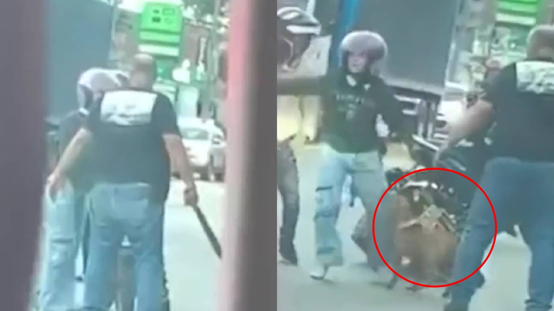 conductor agrede con machete a un perro