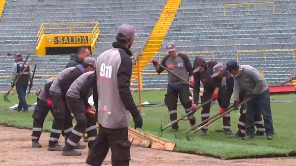 "No era una cancha, era un tapete": presidente de la Dimayor sobre el mal estado de la gramilla de El Campín "No era una cancha, era un tapete": presidente de la Dimayor sobre el mal estado de la gramilla de El Campín